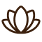 FlowerLotus 1